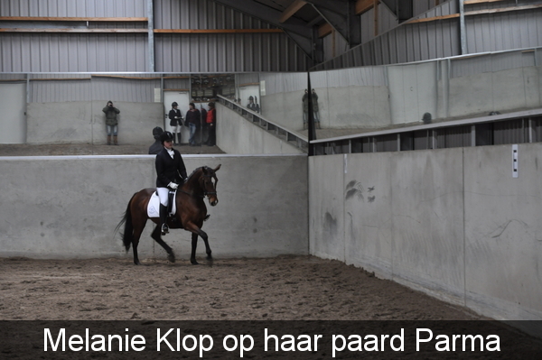 Melanie Klop op haar paard Parma