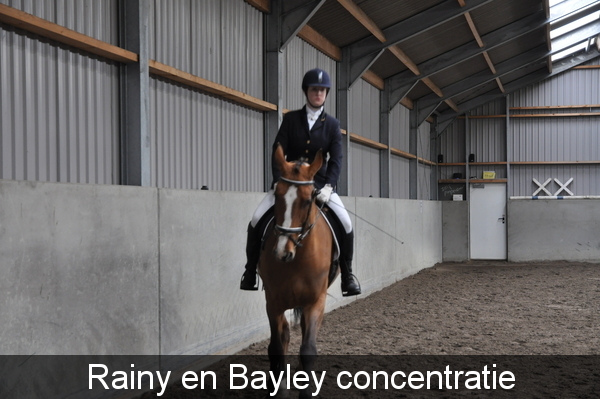 Rainy en Bayley concentratie