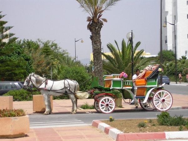Tunesië 2010 dl 2 015 (7)