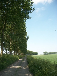 106-Verharde polderwegen