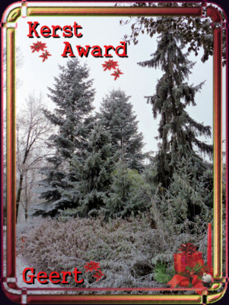 Kerst award