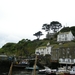 Cornwall-Devon  2011 323