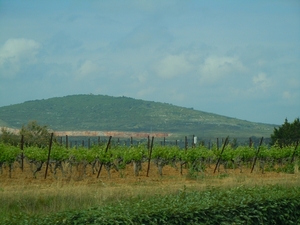 Onnderweg naar Peyriac de Mer - wijngaarden