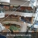Cruise Scandinavie 2011 063