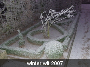 winter wit