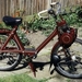 Solex 3800