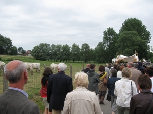 Hoegaarde-Meldert Sint-Ermelindus processie 2011 073