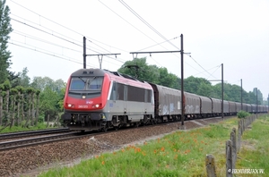 SNCF 36025 VLIEGVELD MORTSEL 20110512_1 copy