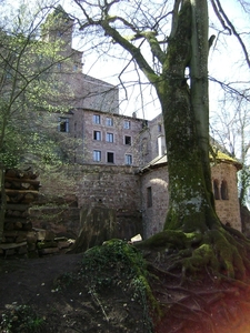 Pasen 2009 003 Burg Berwartstein