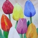 blauwe tulp