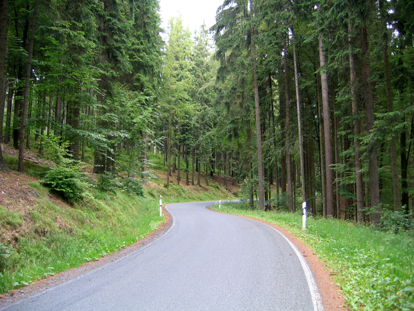 thuringenwald