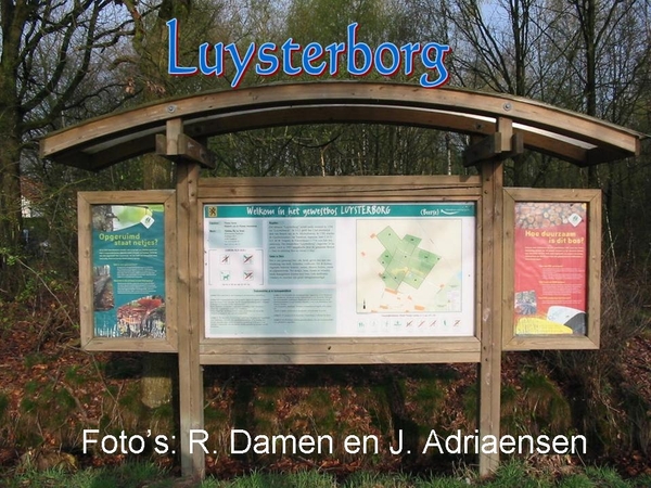 Luysterborg