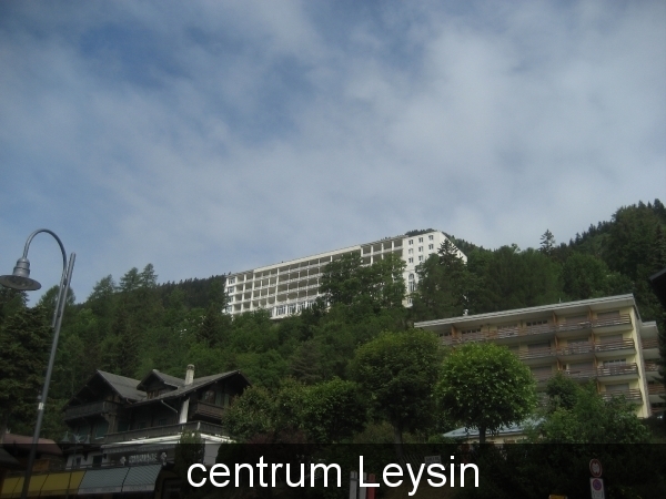Leysin 2011 009