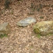 20060226 10u29 zie volgende foto's met uitleg-stenen op de wandel