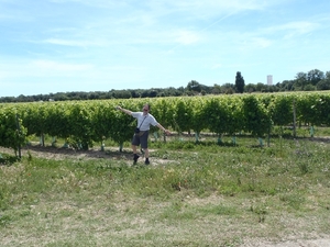 Herman op bezoek in de wijngaarden