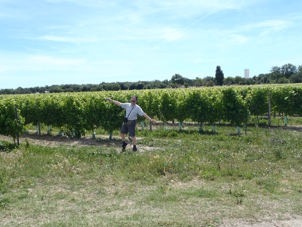 Herman op bezoek in de wijngaarden