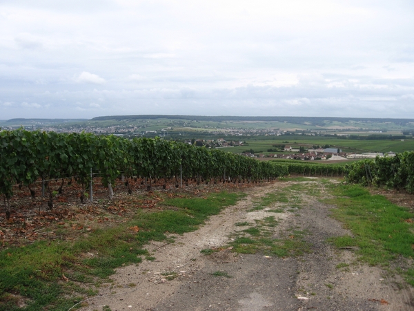 Champagne - Reims en Epernay 145