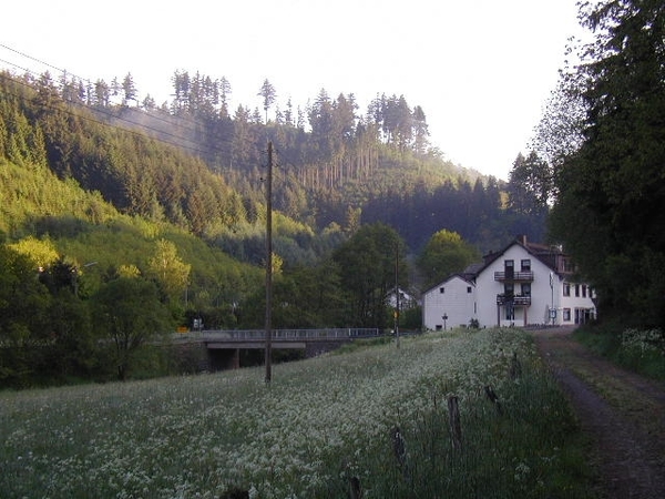 2002 karlshausen (20)