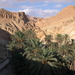 Een oase in de rotswoestijn