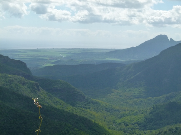 panorama over natuurpark