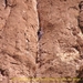 Inspectie van de rotswand in de Todrakloof?