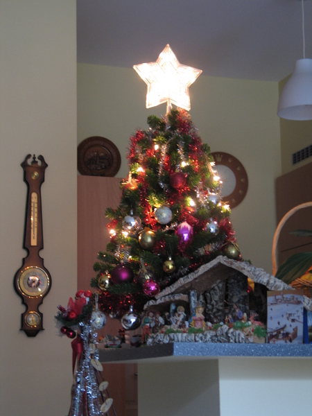 13) Kerststalletje en Kerstboom