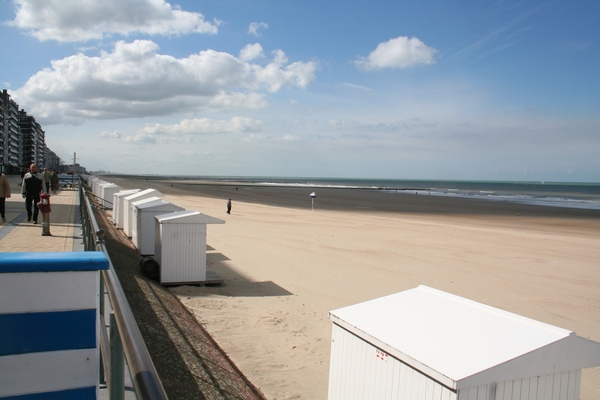Belgische strand