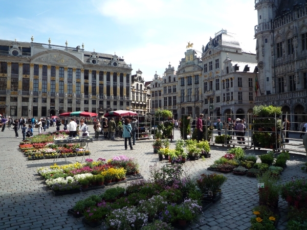 Brussel _Grote markt _P1100144