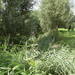 Vinderhoute Augustus 2011 016