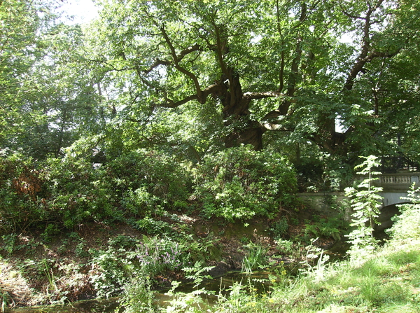 Vinderhoute Augustus 2011 025