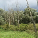 Vinderhoute Augustus 2011 042