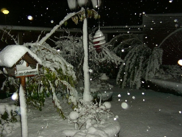 winter2005