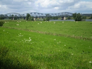 spoorbrug en oude Maasbrug bij Hedel