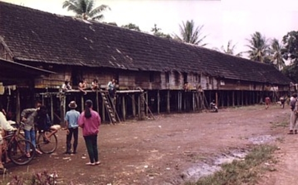 Lamin (longhouse)