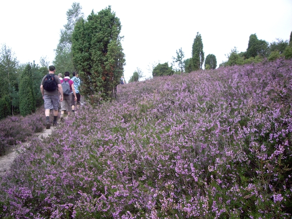 Luneburgerheide 24-8 tot en met 28-8-2011 019