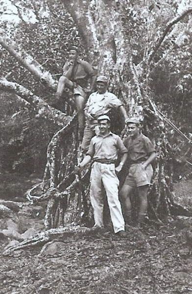 Soekaboemi (ik ben de middelste in de boom)
