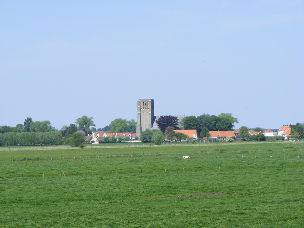 DAMME2008_0511_013415