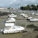 Loire Atlantique 2011 023