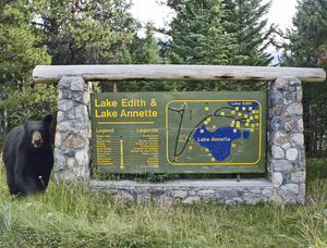 Lake Edith & Lake Annette
