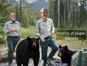 Wildlife Canada Rangers