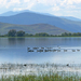 Nine Pipe - National wildlife Reservoir
