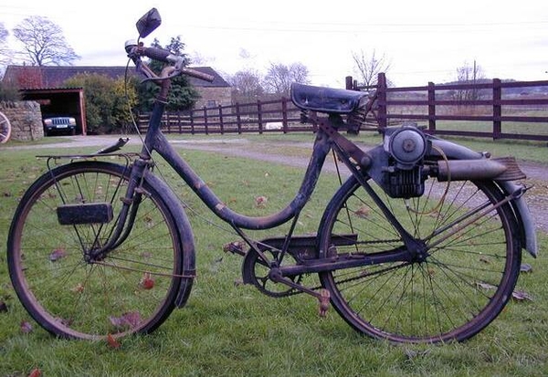 Cyclex 1950