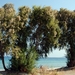 156 Rodos -  strandwandeling naar Ialysos