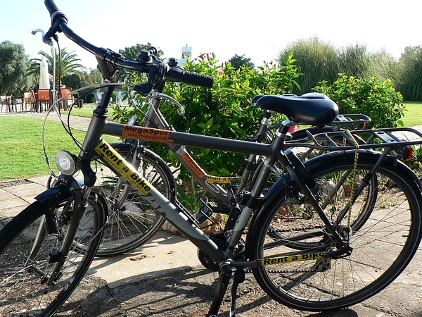 Algarve Vos-travel fietsvakantie