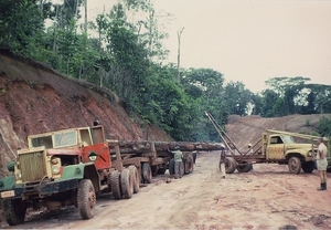 Lommerts in Suriname