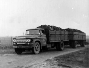 Dodge Combi met suikerbieten