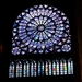 067Parijs dec 2011 - busrit en Notre Dame