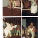 THE GAMBIA-Maart 1985 (1)