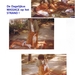 THAILAND-DUIKEN-1986 (13)
