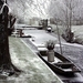 Winter in Driebruggen